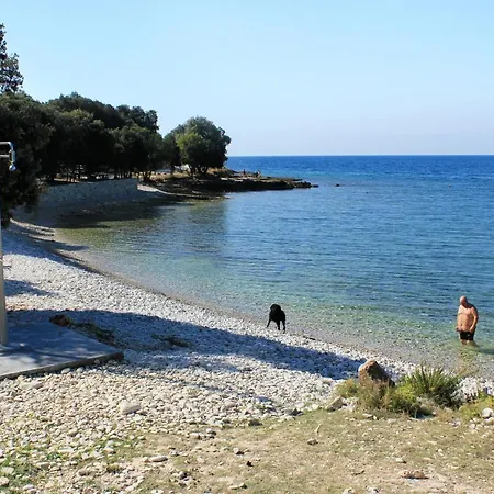 Family Friendly House With A Swimming Pool Smoljanci, Istria - Sredisnja Istra - 19598 Holiday home